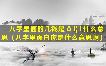 八字里面的几钱是 🦟 什么意思（八字里面白虎是什么意思啊）